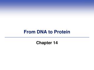 From DNA to Protein