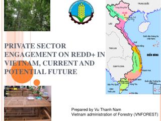PRIVATE SECTOR ENGAGEMENT ON REDD + IN VIETNAM, CURRENT AND POTENTIAL FUTURE