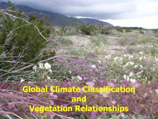 Global Climate Classification and Vegetation Relationships