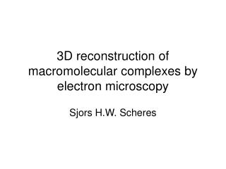 3D reconstruction of macromolecular complexes by electron microscopy