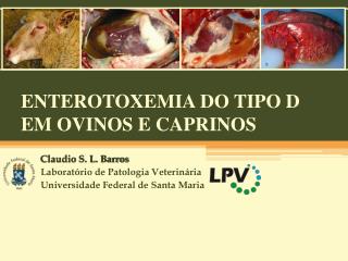 ENTEROTOXEMIA DO TIPO D EM OVINOS E CAPRINOS