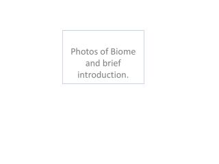 Photos of Biome and brief introduction .