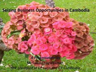 Seizing Business Opportunities in Cambodia