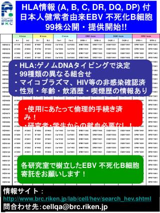 HLA 情報 (A, B, C, DR, DQ, DP) 付 日本人健常者由来 EBV 不死化 B 細胞 99 株公開・提供開始 !!
