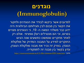 נוגדנים (Immunoglobulin)