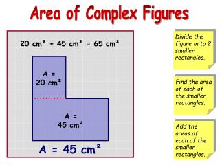 20 cm²