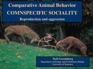 Comparative Animal Behavior COMNSPECIFIC SOCIALITY Reproduction and aggression