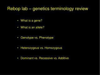 Rebop lab – genetics terminology review