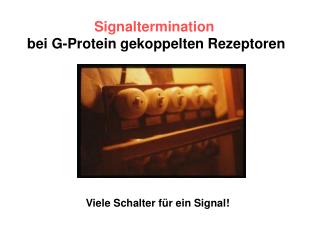 Signaltermination bei G-Protein gekoppelten Rezeptoren