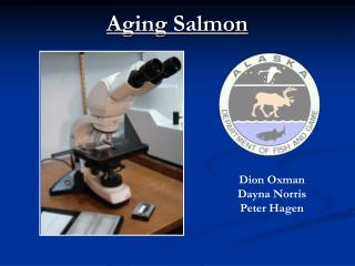 Aging Salmon