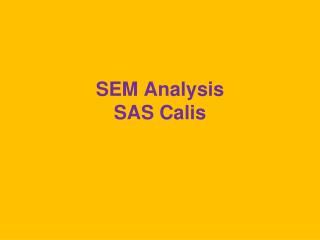 SEM Analysis SAS Calis