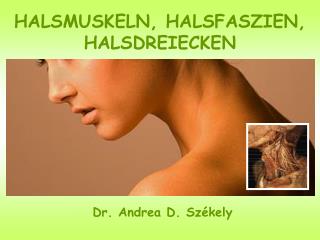 HALSMUSKELN, HALSFASZIEN, HALSDREIECKEN