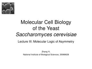 Molecular Cell Biology of the Yeast Saccharomyces cerevisiae