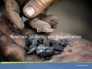 Biochar Structure , Stability , and Sequestration Alice Budai April 2011