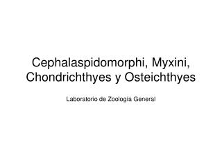 Cephalaspidomorphi, Myxini, Chondrichthyes y Osteichthyes