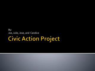 Civic Action Project