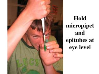 Hold micropipet and epitubes at eye level