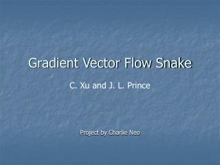 Gradient Vector Flow Snake