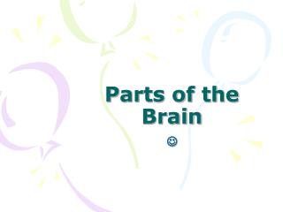 Parts of the Brain