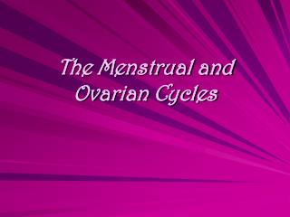 The Menstrual and Ovarian Cycles
