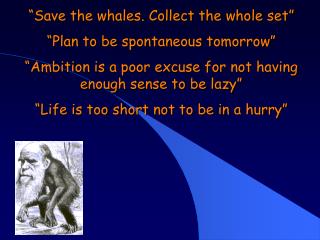 “Save the whales. Collect the whole set” “Plan to be spontaneous tomorrow”