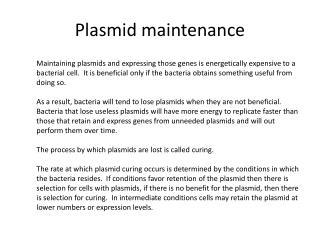 Plasmid maintenance