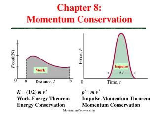 Chapter 8: Momentum Conservation