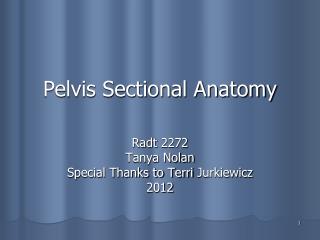 Pelvis Sectional Anatomy