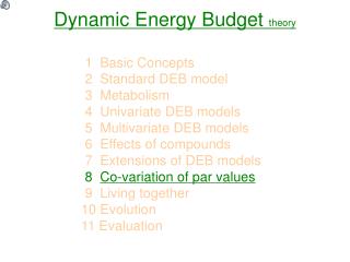 Dynamic Energy Budget theory