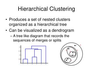 Hierarchical Clustering