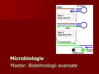 Microbiologie Master: Biotehnologii avansate