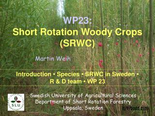 WP23: Short Rotation Woody Crops (SRWC)