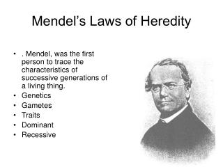 Mendel’s Laws of Heredity