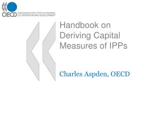 Handbook on Deriving Capital Measures of IPPs