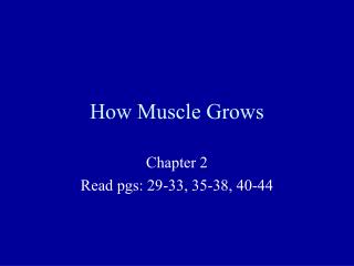 How Muscle Grows