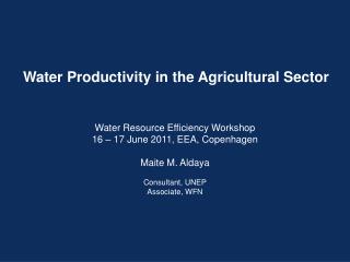 Water Productivity in the Agricultural Sector