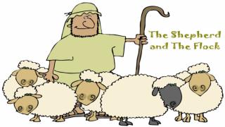 The Flock’s Responsibility to The Shepherd
