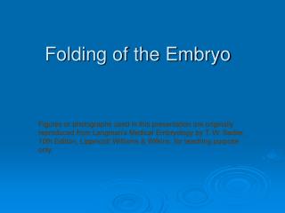 Folding of the Embryo