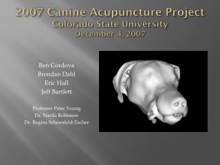2007 Canine Acupuncture Project Colorado State University December 4, 2007