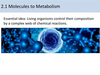 2.1 Molecules to Metabolism