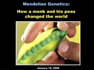 Mendelian Genetics: How a monk and his peas changed the world