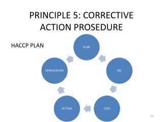 PRINCIPLE 5: CORRECTIVE ACTION PROSEDURE