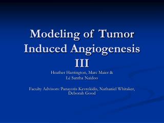 Modeling of Tumor Induced Angiogenesis III