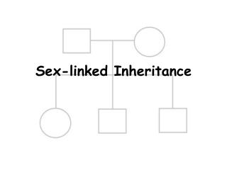 Sex-linked Inheritance