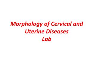 Morphology of Cervical and Uterine Diseases Lab