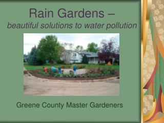 Rain Gardens – beautiful solutions to water pollution