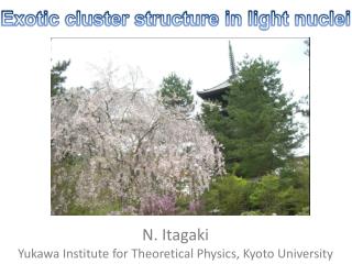N. Itagaki Yukawa Institute for Theoretical Physics, Kyoto University