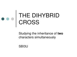 THE DIHYBRID CROSS