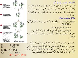 اکتشافات مندل و بعد از آن: