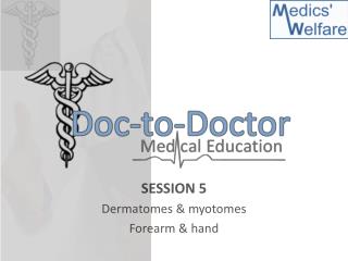 SESSION 5 Dermatomes &amp; myotomes Forearm &amp; hand